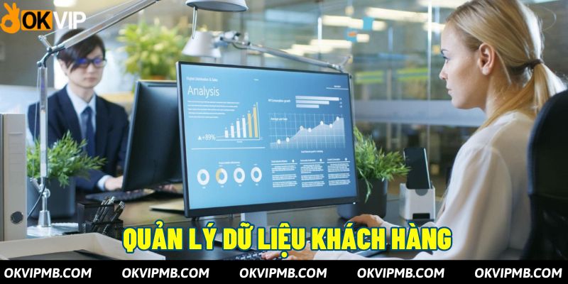 OKVIP cung cấp giải pháp quản lý dữ liệu khách hàng cho doanh nghiệp